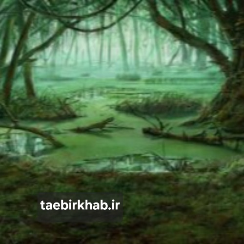 تعبیر خواب باتلاق: فرو رفتن در ناامیدی یا یافتن راهی برای رهایی؟