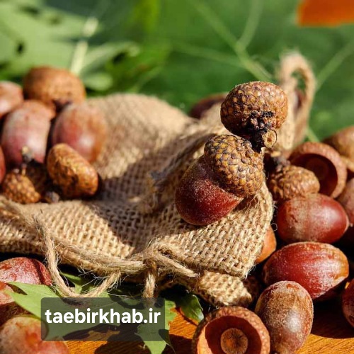 تعبیر خواب بلوط: نشانه‌ای از رشد، قدرت و باروری در دنیای رویاها