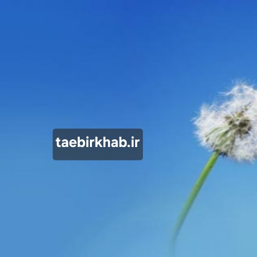تعبیر خواب باد: از نسیم آرامش تا طوفان تحول در «تعبیر خواب فا»