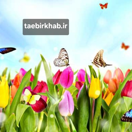 تعبیر خواب بهار: شکوفایی، نو شدن و آغاز دوباره در «تعبیر خواب فا»