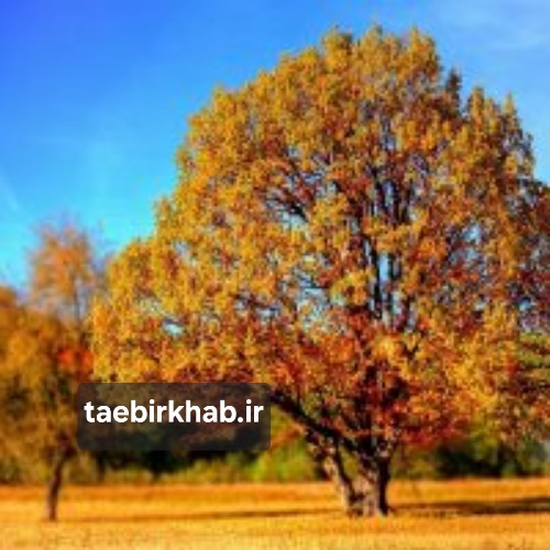 تعبیر خواب پاییز؛ خزان آرزوها، فصل تحول و آمادگی برای زمستان در «تعبیر خواب فا»